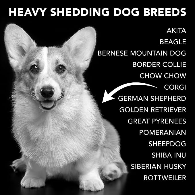 Pride and Groom The Shedder | Dog Deshedding Shampoo | All Natural Body Wash - Image 7