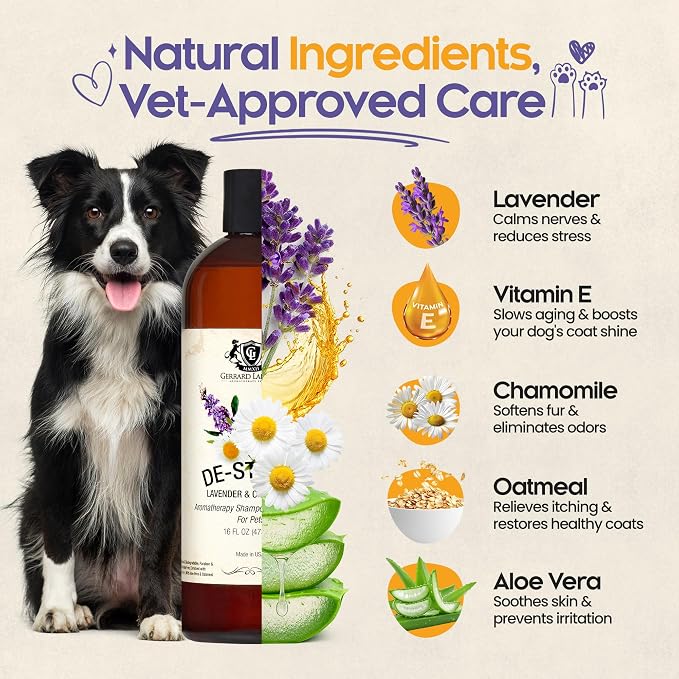 Dog Shampoo and Conditioner De-Stress Lavender & Chamomile 16 Fl Oz Dog Shampoo - Image 2