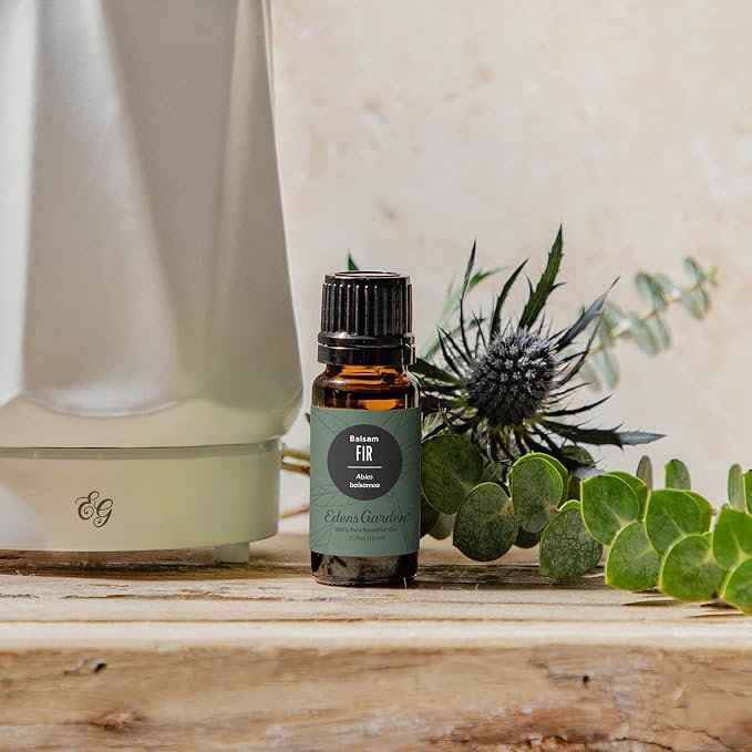 Edens Garden Fir- Balsam Essential Oil- 100% Pure Premium Grade, Therapeutic - Image 2