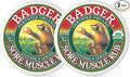 Badger - Sore Muscle Rub, Cayenne Pepper and Ginger, Organic Sore Muscle Rub by Badger