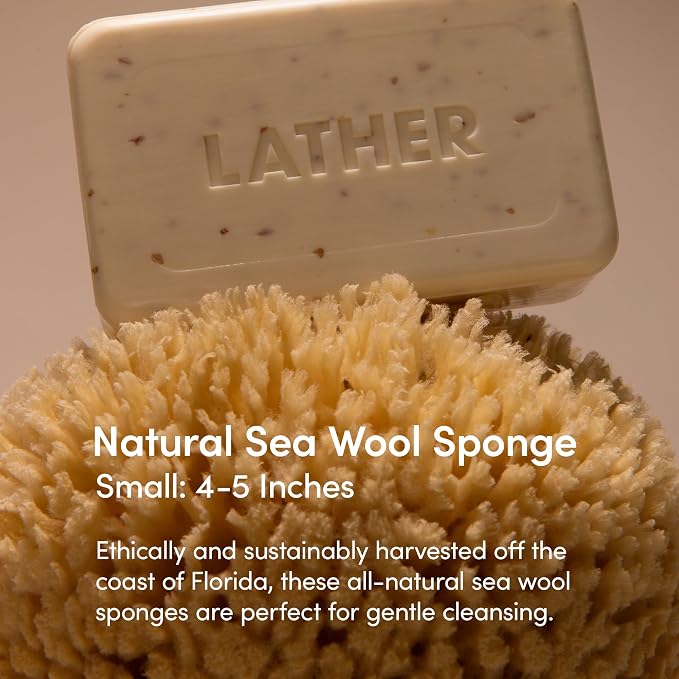 LATHER - Natural Sea Wool Sponge, 4-5" - Organic Exfoliating Body Scrubber - - Image 2