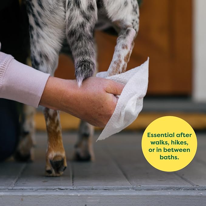 Earth Rated Pet Wipes for Dogs and Cats, Hypoallergenic, Cleaning and Hydrating - Image 4