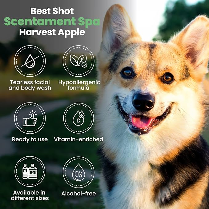 Best Shot Scentament Spa Botanical Body Splash, Harvest Apple, 8 oz - Image 4
