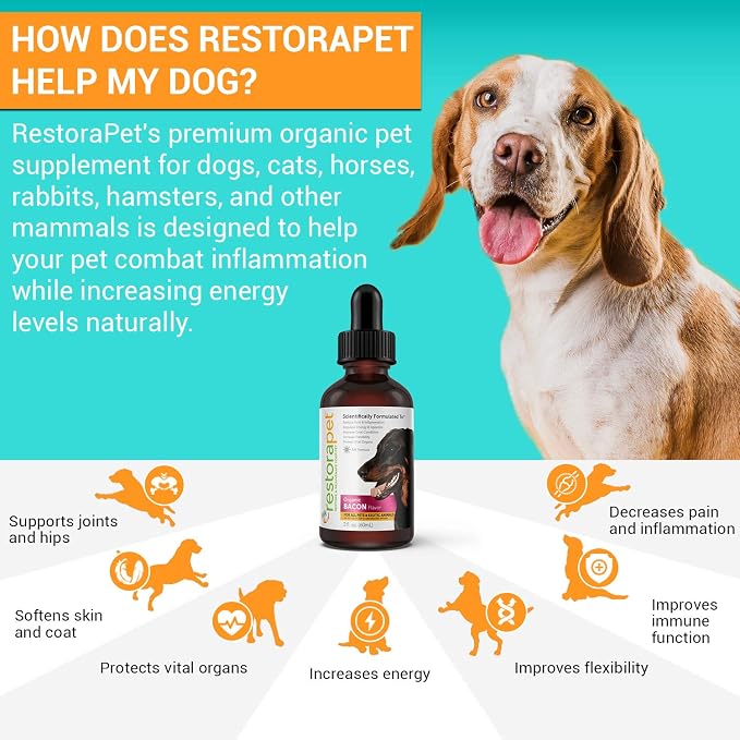RestoraPet 4-Pack Dog & Cat Bacon Liquid Multivitamin | Dog Arthritis Pain - Image 2