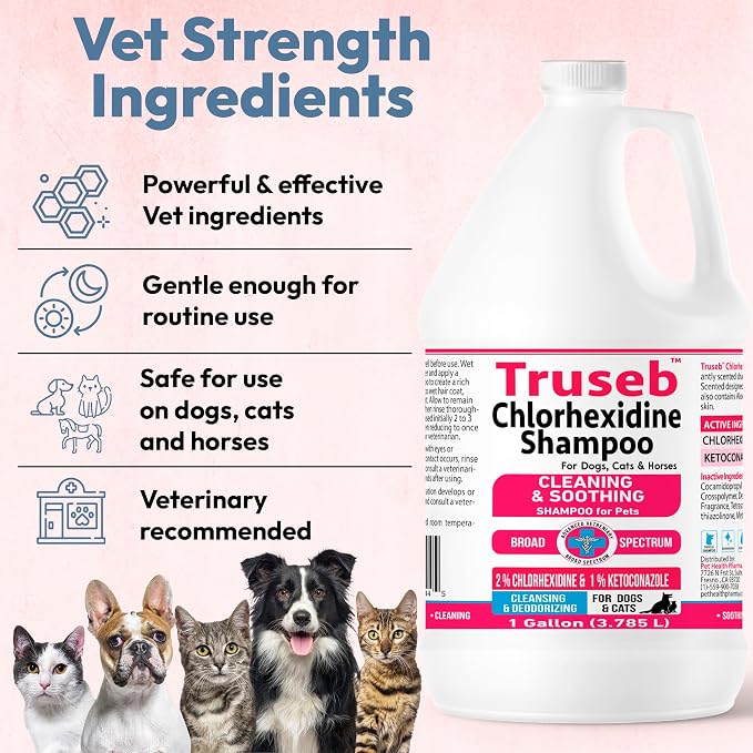 Truseb Topical Ketoconazole and Chlorhexidine Shampoo - Image 6