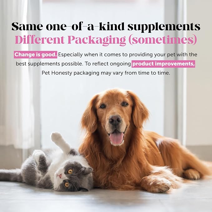 Cat Skin & Coat Health Chews – Crunchy & Creamy Treats - Image 9