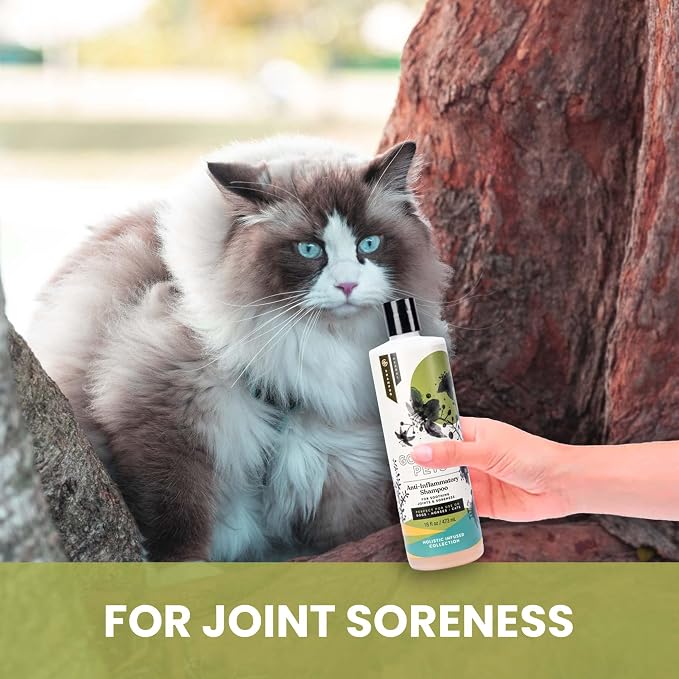 Holistic Natural Anti-Inflammatory Pet Shampoo: Veterinarian Recommended: - Image 7