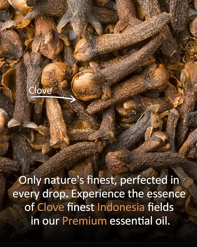 Pure Clove Essential Oil, 100% Natural Clove Oil, Premium Grade Essential Oils - Image 4