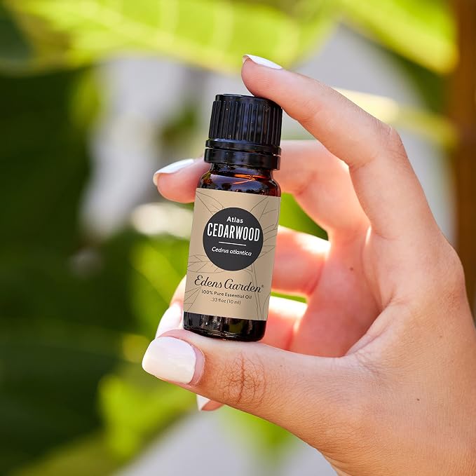 Edens Garden Cedarwood- Atlas Essential Oil- 100% Pure Premium Grade, - Image 2