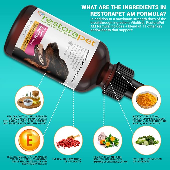 RestoraPet 2-Pack Dog & Cat Bacon Liquid Multivitamin | Dog Arthritis Pain - Image 3