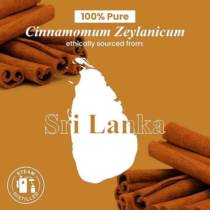 Handcraft Blends Cinnamon Essential Oil – 1 Fl Oz – 100% Pure and Natural – - Image 7