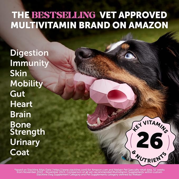 Dog Multivitamin - 10 in 1 Dog Vitamins - Image 2