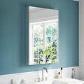 Medicine Cabinet with Mirror 24"x36", Modern Aluminum Medicine Mirror Cabinet by CraftYourIdealBathMoments
