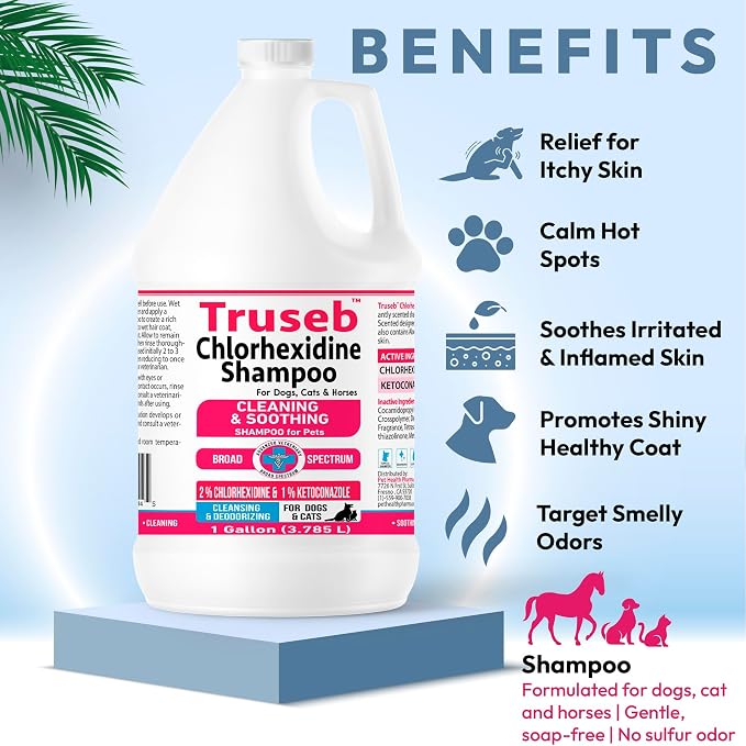 Truseb Topical Ketoconazole and Chlorhexidine Shampoo - Image 5