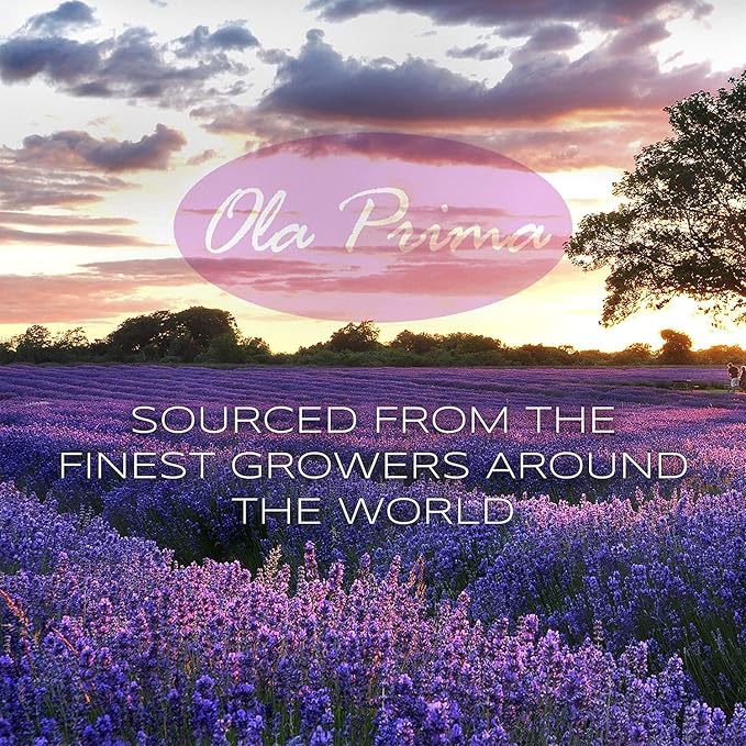 Ola Prima Oils Lavender Essential Oil - Image 4