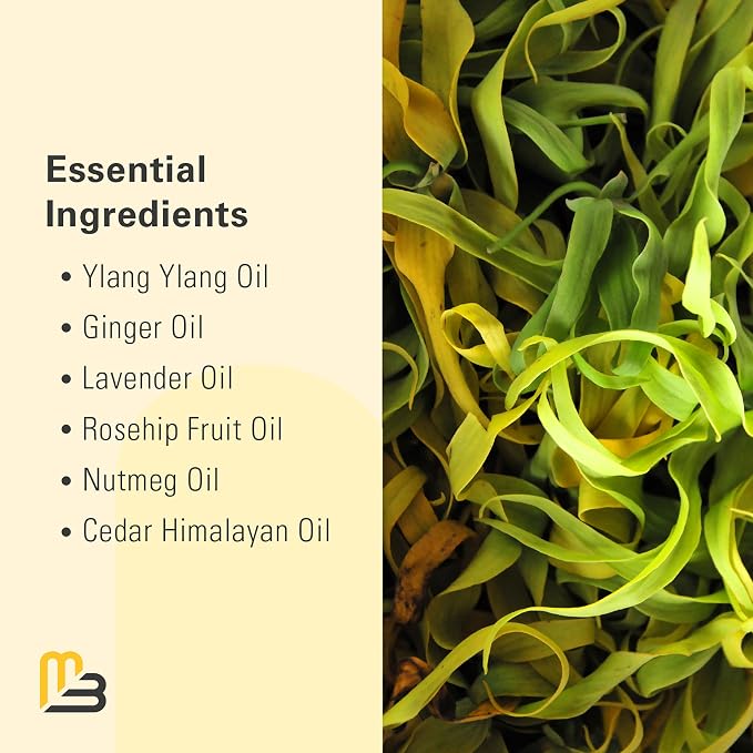 Ylang Ylang + Ginger Lymphatic Drainage Massage Oil – - Image 3