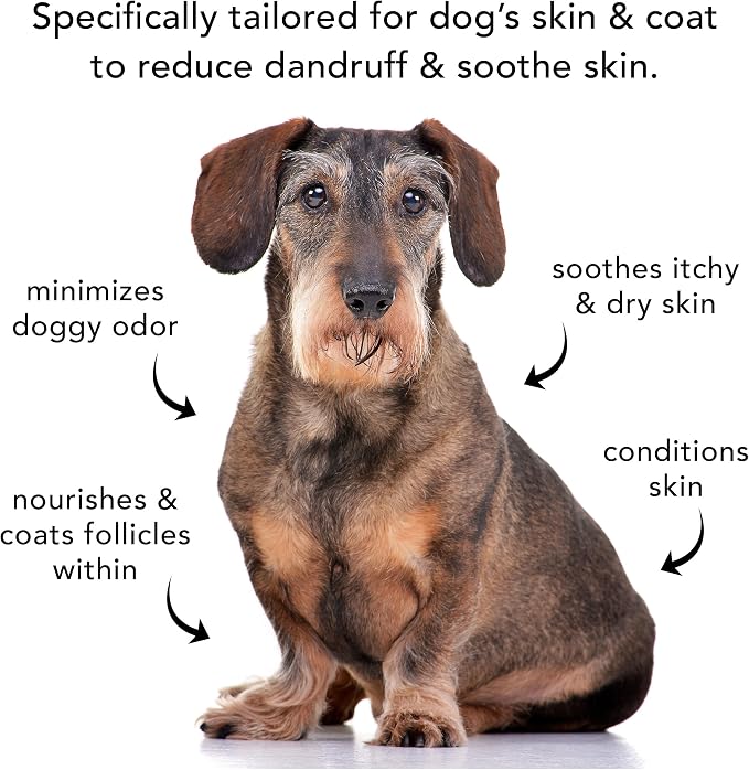 Pride and Groom The Sensitive One Box Set – Dog Shampoo & Conditioner - Image 7
