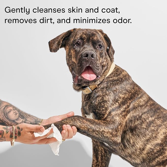 Wild One, Eucalyptus Natural Dog Grooming Wipes, Cruelty-free, resealable lid - Image 3