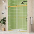 DELAVIN 56-60" W x 75" H Double Sliding Shower Door, 1/4" SGCC Tempered Glass by DELAVIN