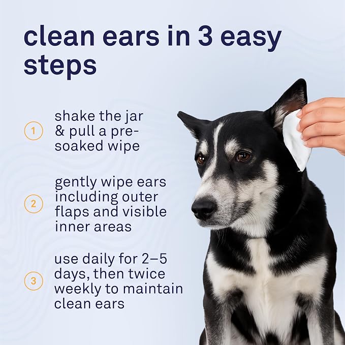 Petpost Large Dog Ear Cleaner Wipes | Ultra Soft XL Cotton Pads in Coconut Oil - Image 7