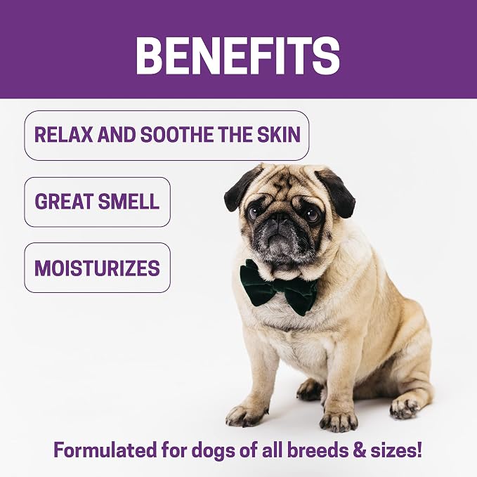 Natural Shampoo for Puppy |Formulated for The Most Sensitive Skin | 100% - Image 4