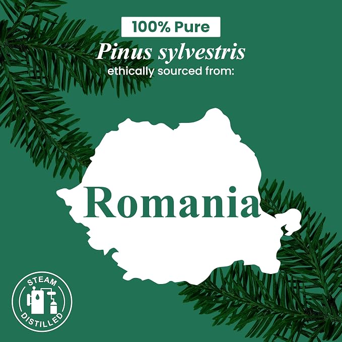 Handcraft Blends Pine Essential Oil – 1 Fl Oz – 100% Pure and Natural – Premium - Image 7