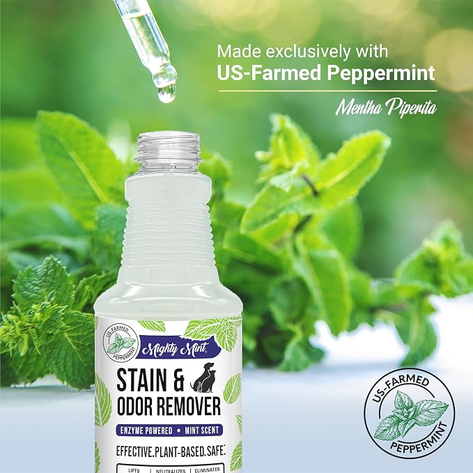 Mighty Mint Stain & Odor Remover, Natural Enzyme Spray Safely Neutralizes Odor - Image 5