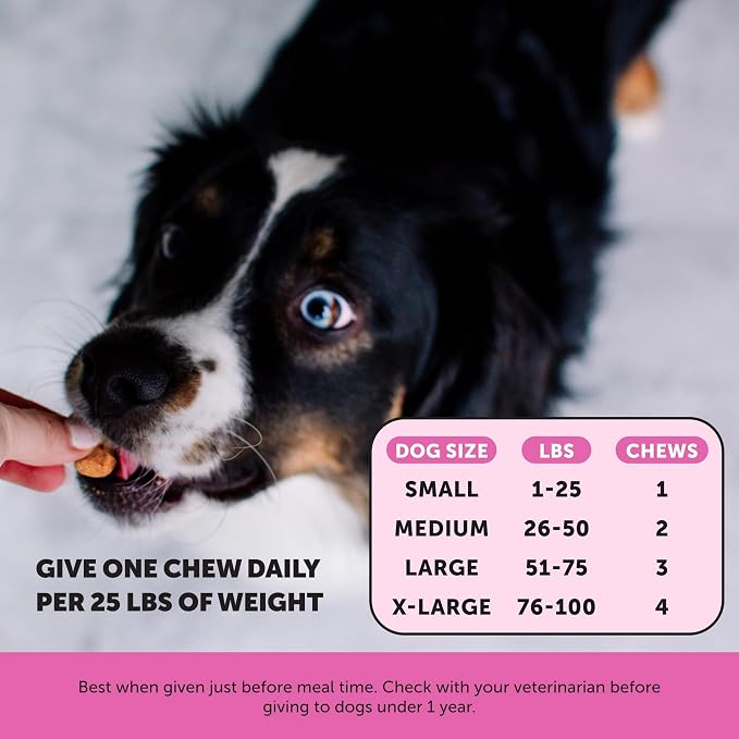 Senior Dog Multivitamin - Image 5
