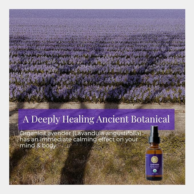 Silk Road Organic Lavender Essential Oil Spray, Lavandula Angustifolia - Image 2