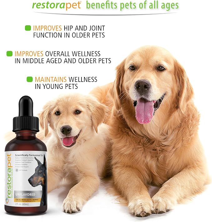 RestoraPet 1-Pack Dog & Cat Beef Liquid Multivitamin | Dog Arthritis Pain - Image 5