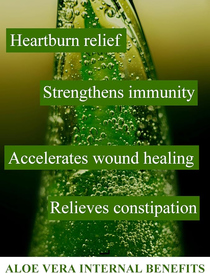 Aloe Vera Gel 100% Pure Natural Organic, no additives, thickeners or water - Image 2