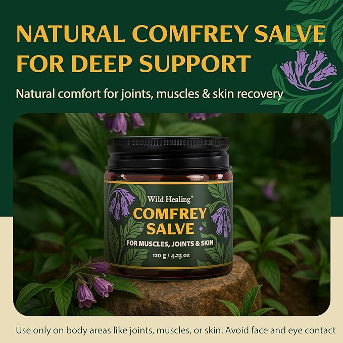 Wild Healing Comfrey Salve – Concentrated Herbal Balm - Image 2