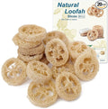Natural Loofah Slices Cuts for Soap Making-20 Pack Organic Luffa Loofa Sponges by Unknown