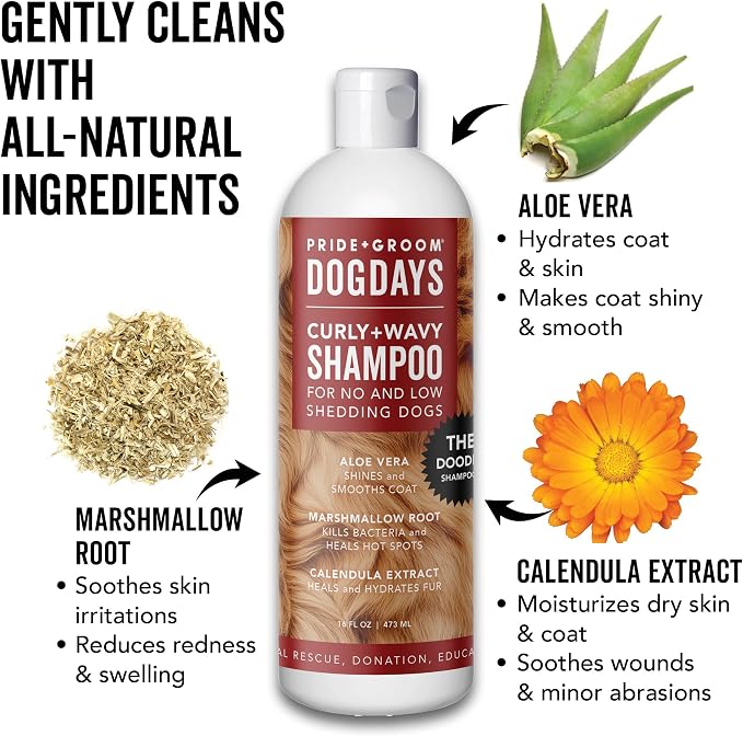 Pride and Groom DogDays Curly + Wavy Grooming Shampoo | Tearless, All-Natural - Image 3