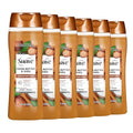Suave Moisturizing Body Wash, Cocoa Butter and Shea by Suave