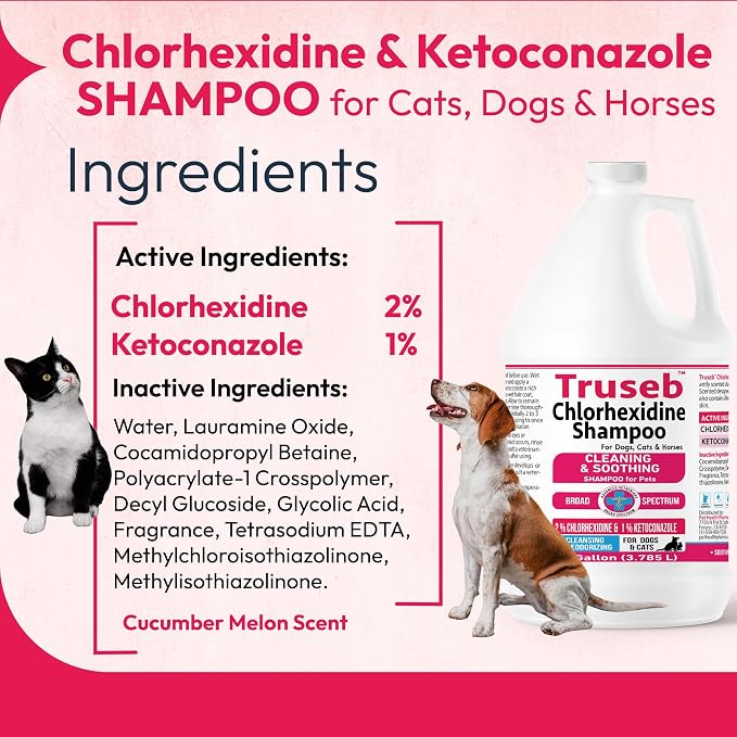 Truseb Topical Ketoconazole and Chlorhexidine Shampoo - Image 2