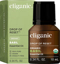 Cliganic Organic Basil Essential Oil, 100% Pure Natural by Cliganic
