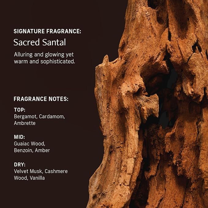 CYKLAR Nutrient Rich Body Cream. Sacred Santal Nourishing Moisturizer - Image 4