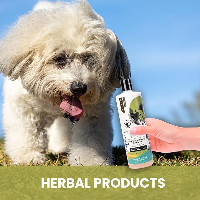 Holistic Natural Anti-Inflammatory Pet Shampoo: Veterinarian Recommended: - Image 2
