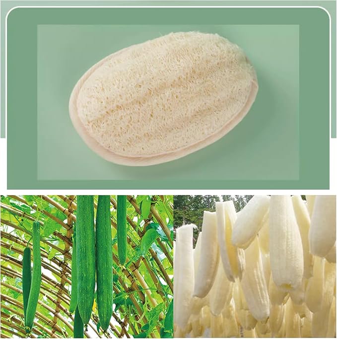 Natural Loofah Exfoliating Body Scrubber Pads, Bath Loofah - Image 6