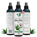 Earth’s Daughter Organic Aloe Vera Gel from Fresh Cut 100% Pure Organic Aloe by EarthsDaughter