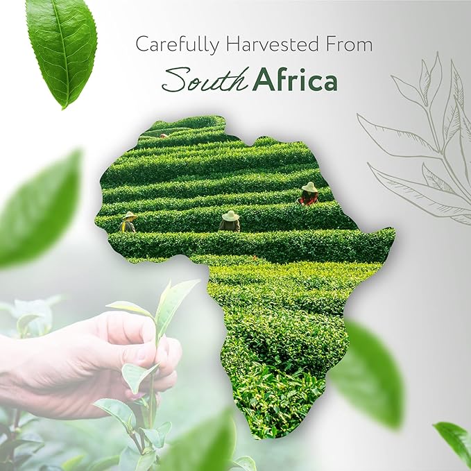HBNO California Bottled Organic Tea Tree Oil - Image 3