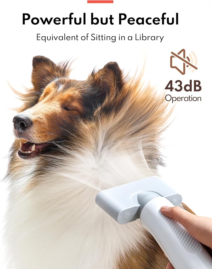 HomeRunPet Dog Dryer, Pet Hair Dryer - Image 2