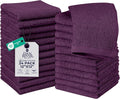 DAN RIVER 24 Pack Wash Cloths for Showering by DanRiver