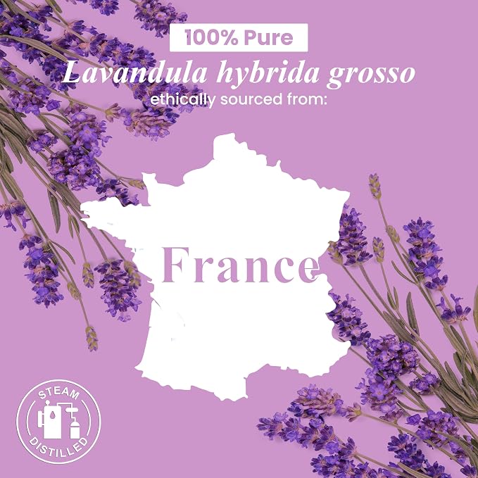 Handcraft Blends Lavender Essential Oil – Huge 4 Fl Oz – 100% Pure and Natural - Image 7