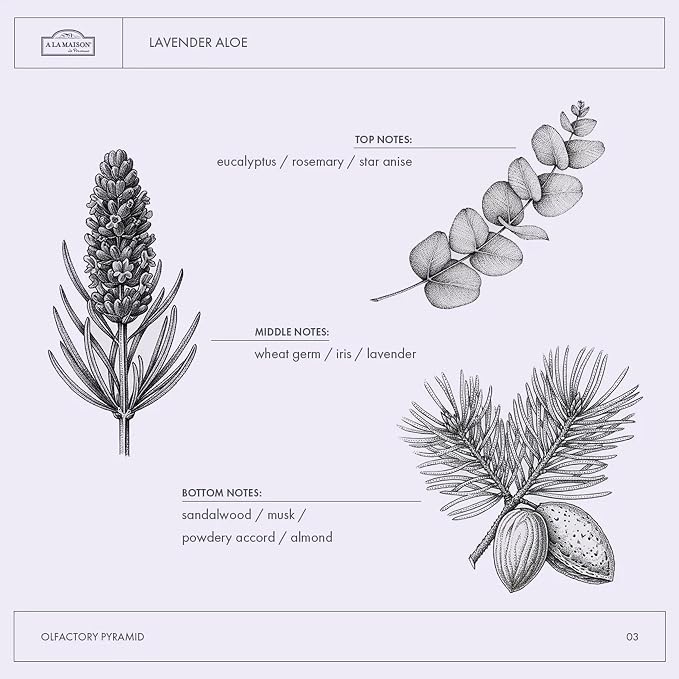 A LA MAISON de Provence Lavender Aloe Liquid Hand and Body Soap - Image 5