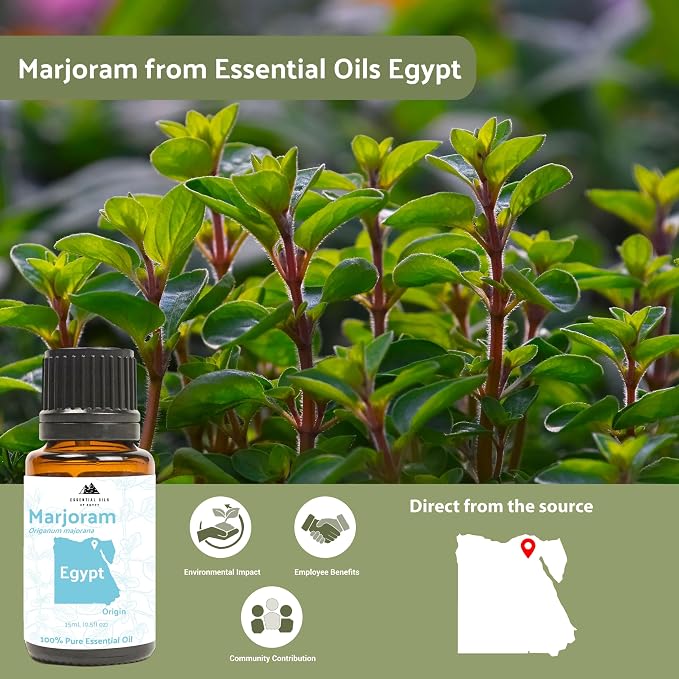 Marjoram Essential Oil - Image 4