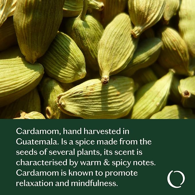LIVEDROPS 24/7 Balanced Essential Oil Blend Mandarin Cardamom Cypress Patchouli - Image 7