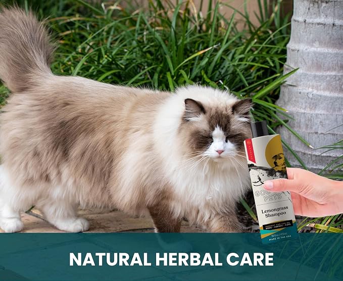 Holistic, Natural and Clean Pet Care Lemongrass Shampoo: Veterinarian - Image 8