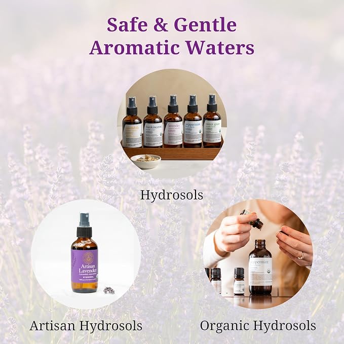 Aromatics International Helichrysum Hydrosol 100ml | Aromatic Mist - Image 4